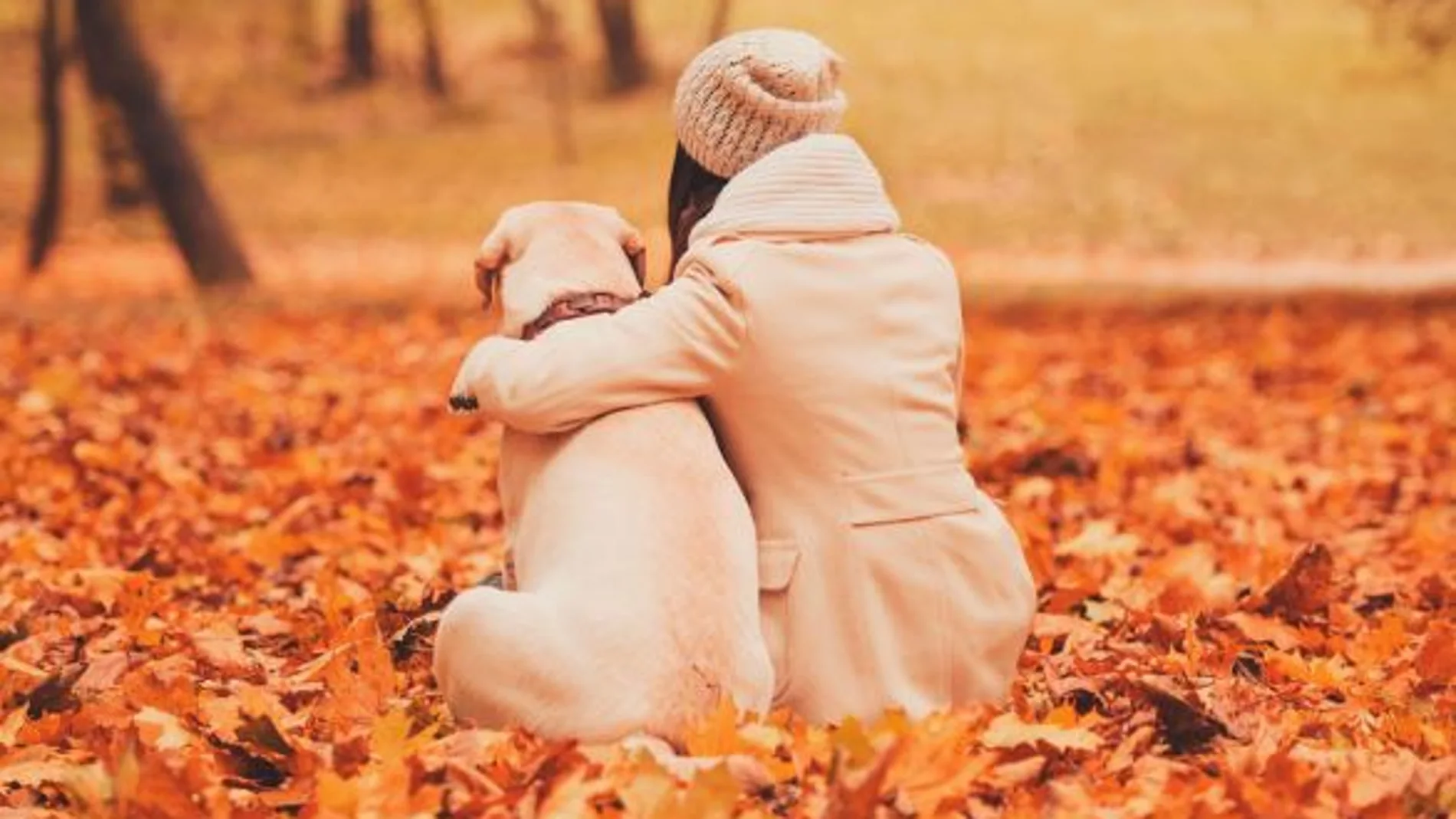 Los perros tienen una gran sensibilidad y su compañía produce altas dosis de felicidad por eso cuando se mueren el duelo por ellos es tan doloroso