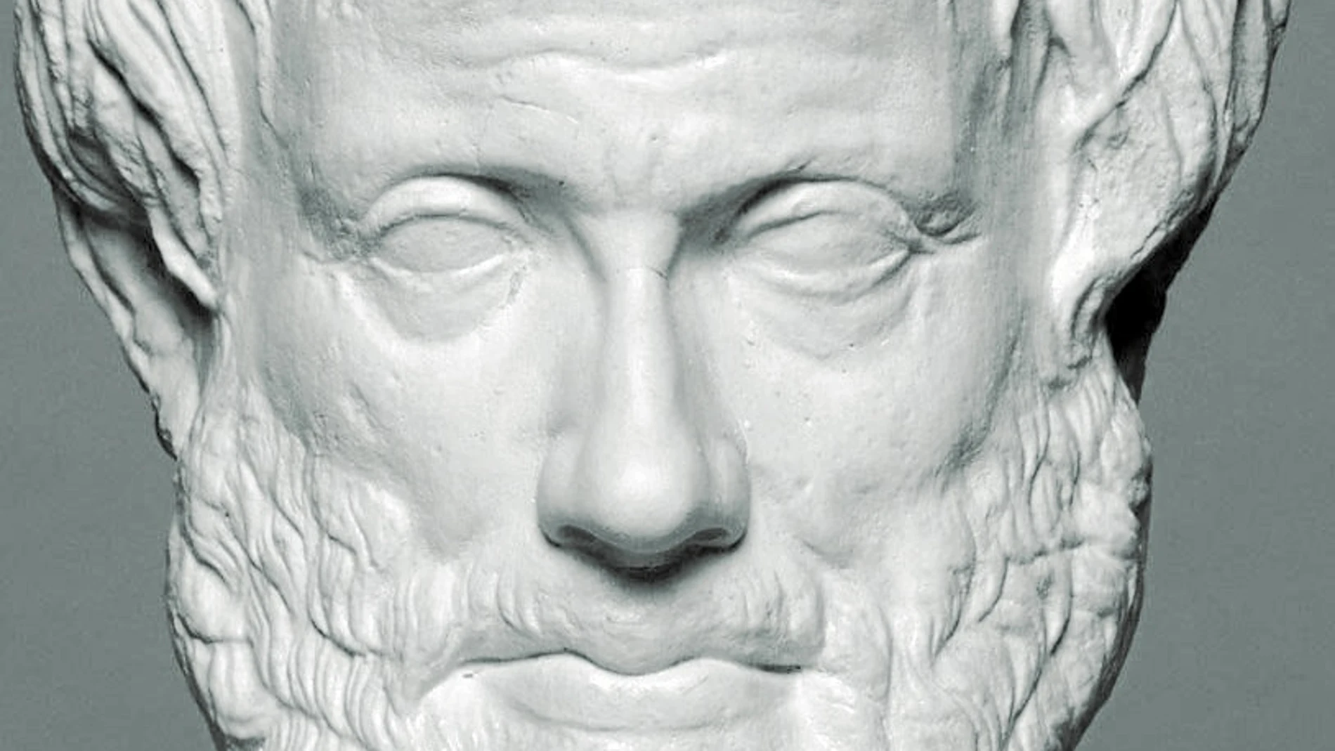 Politólogos: el boom de los discípulos de Sócrates