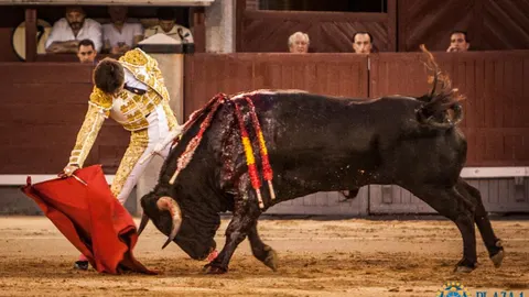 El novillero Ángel Jiménes dando un derechazo ayer, en Las Ventas / Plaza 1