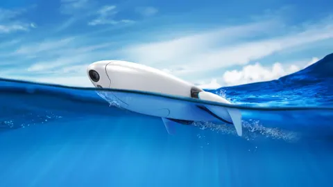 El dron PowerDolphin