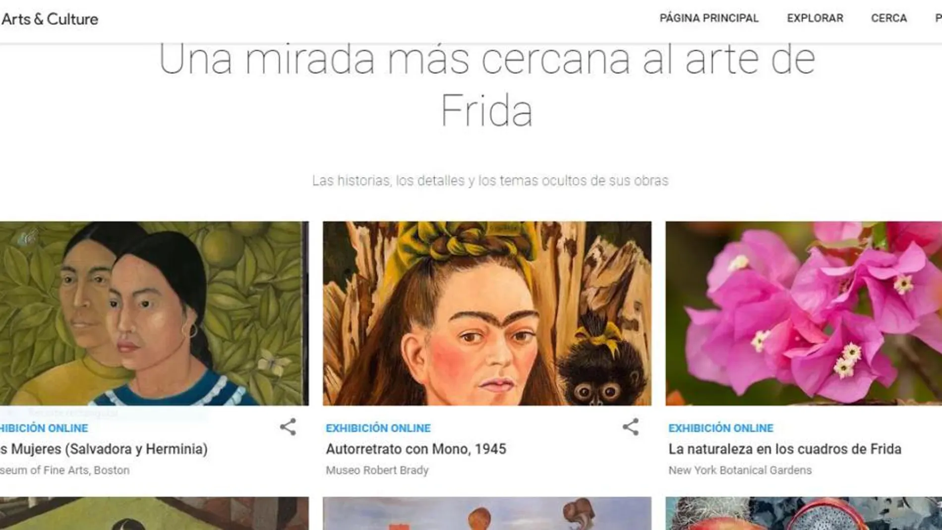 Un detalle del site «Caras de Frida» / Google
