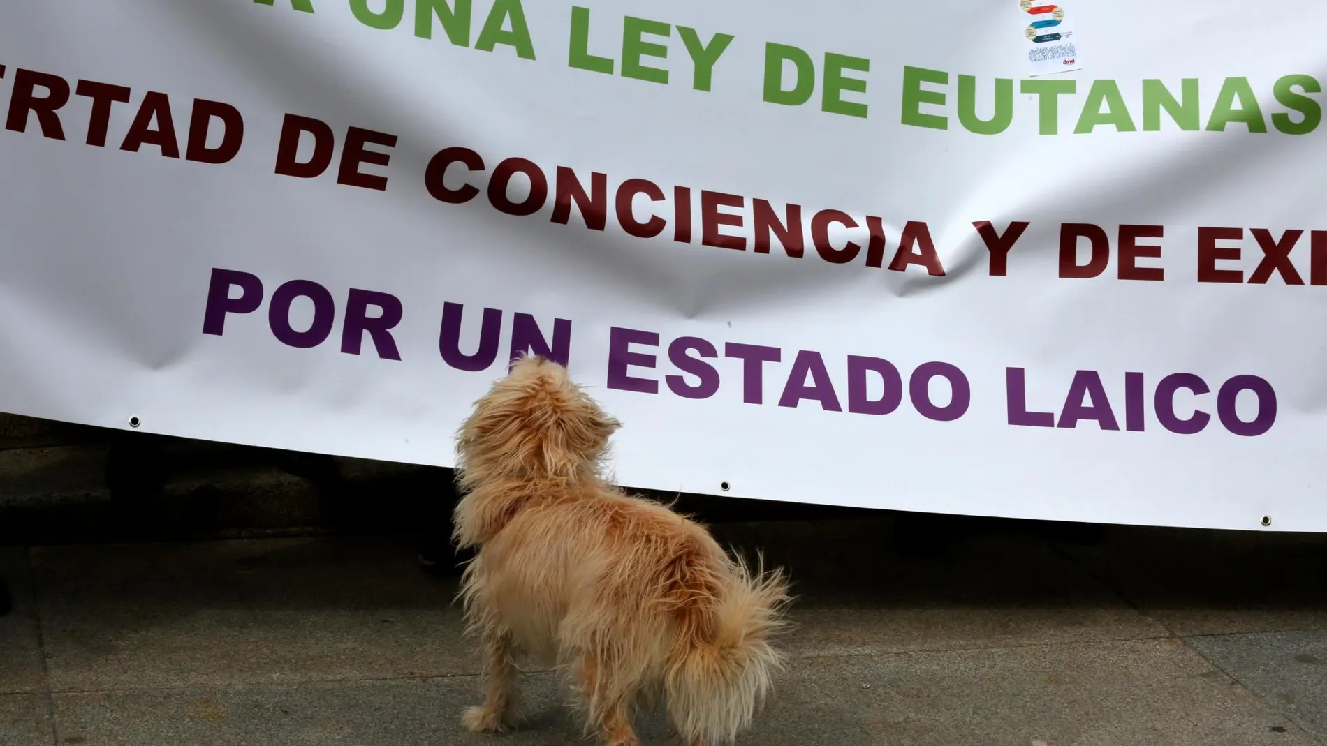 Cataluña pedirá de nuevo al Congreso que se despenalice la eutanasia