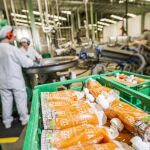 La fábrica de Carlet ha pasado de elaborar 22 a 90 referencias y ha doblado su capacidad de producción