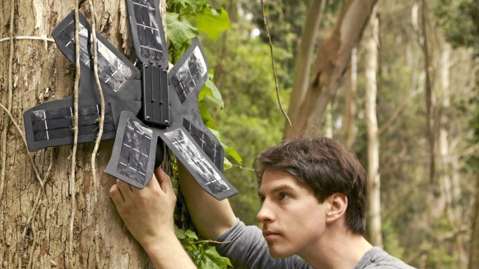 La app Rainforest Connection utiliza smartphones donados para la vigilancia de zonas forestales aisladas