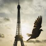 En la imagen, silueta de parisina Torre Eiffel