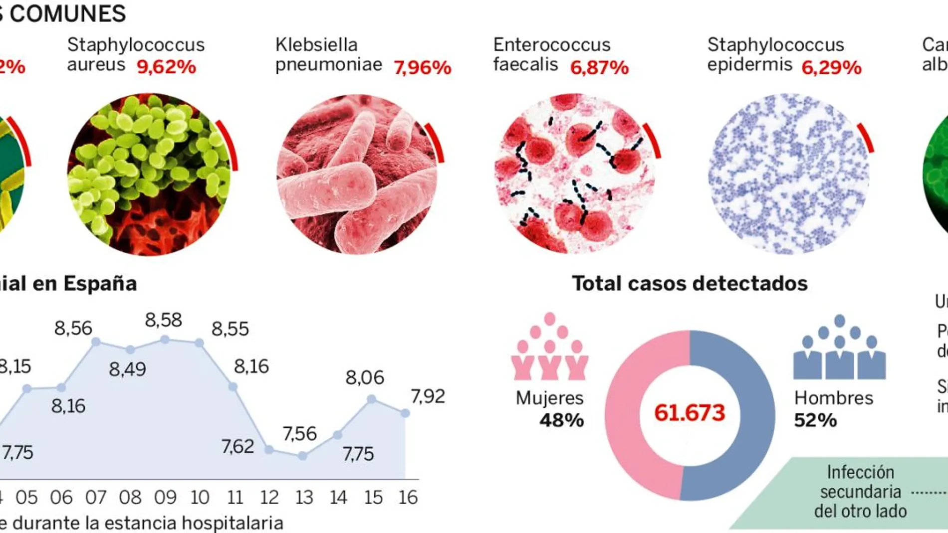 Datos y cifras de las bacterias más comunes según Epine y Seimc