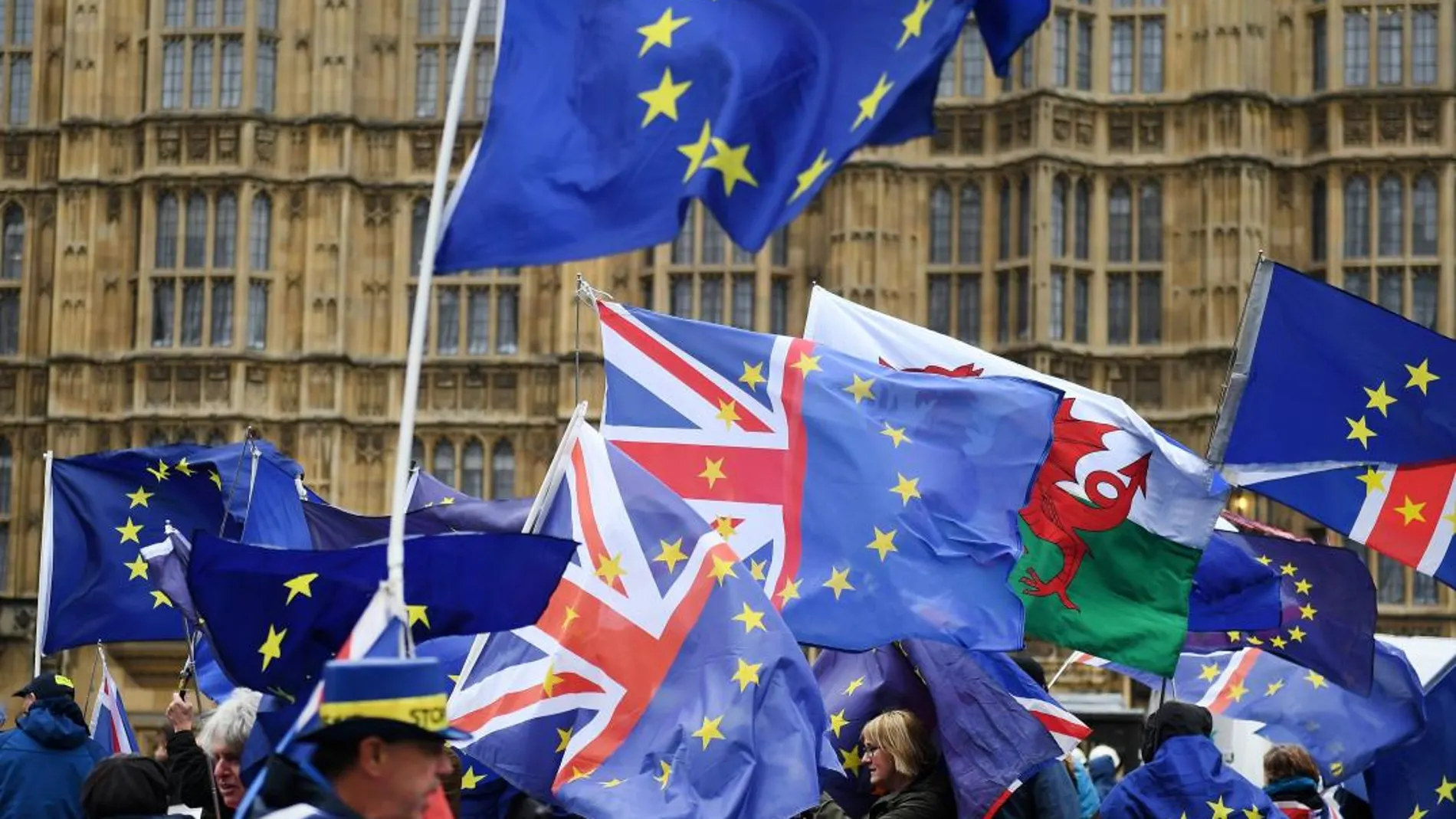 Decenas de proeuropeistas participan en una protesta frente al Parlamento en Londres (Reino Unido) / Efe