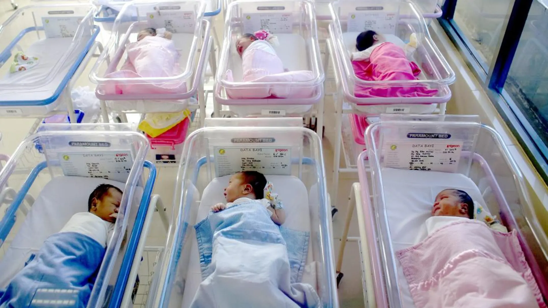 Niños recién nacidos en un hospital / Efe