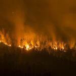 Vista del incendio forestal declarado en la localidad orensana de Entrimo, uno de los muchos incendios forestales sin control