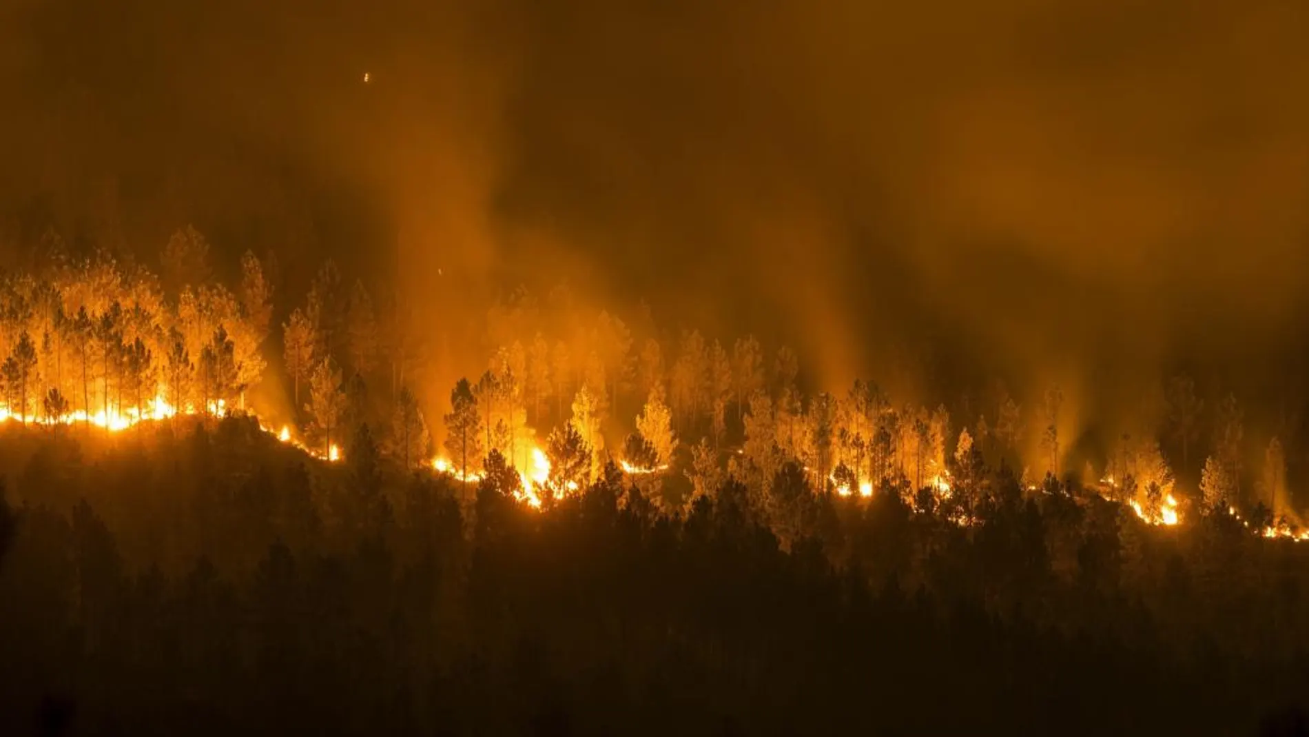 Vista del incendio forestal declarado en la localidad orensana de Entrimo, uno de los muchos incendios forestales sin control