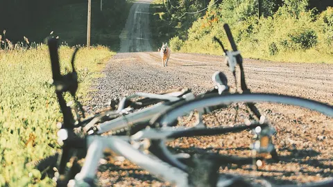 ¡Que persigue mi bici!