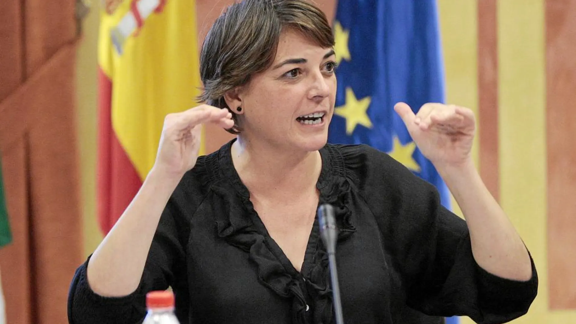 La consejera de Fomento y Vivienda, peso pesado en el núcleo duro de Izquierda Unida, Elena Cortés