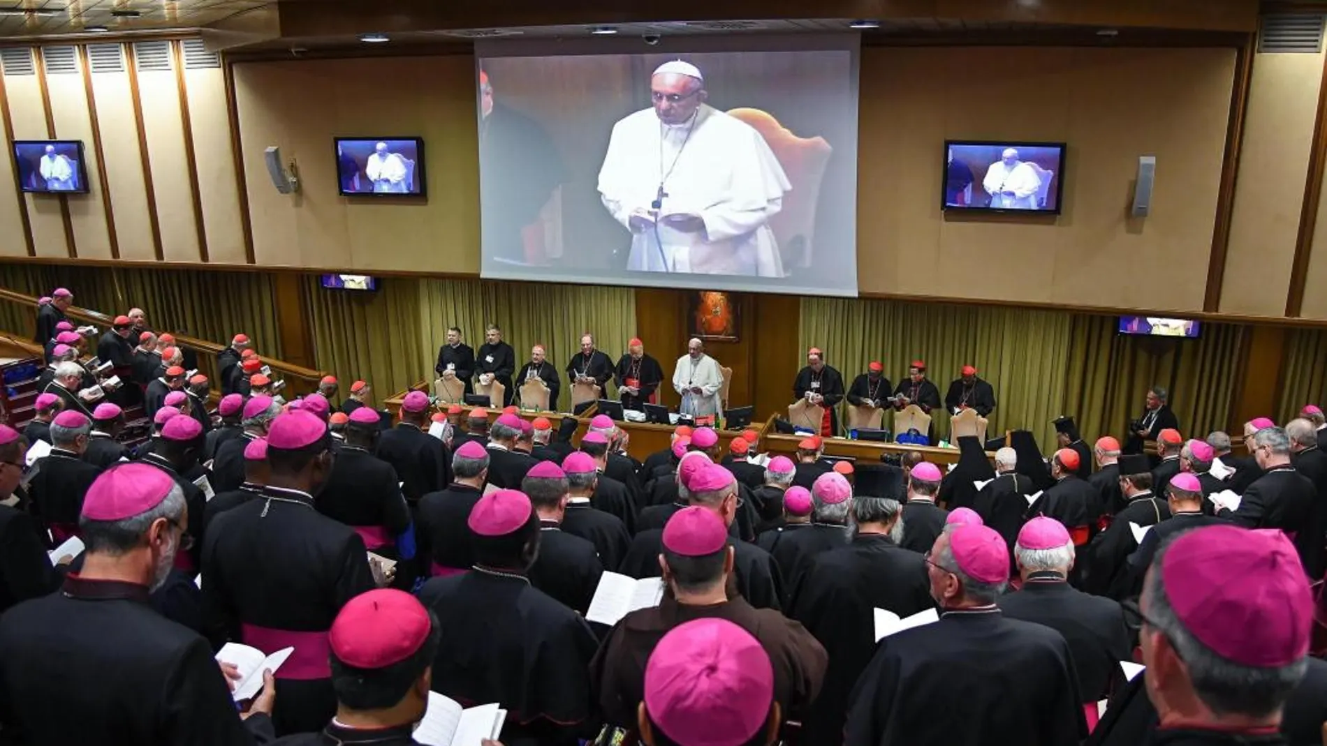 El Papa Francisco interviene durante una reunión del Sínodo/Foto: Efe