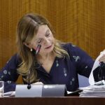 La consejera de Salud andaluza, Marina Álvarez, en el Parlamento autonómico
