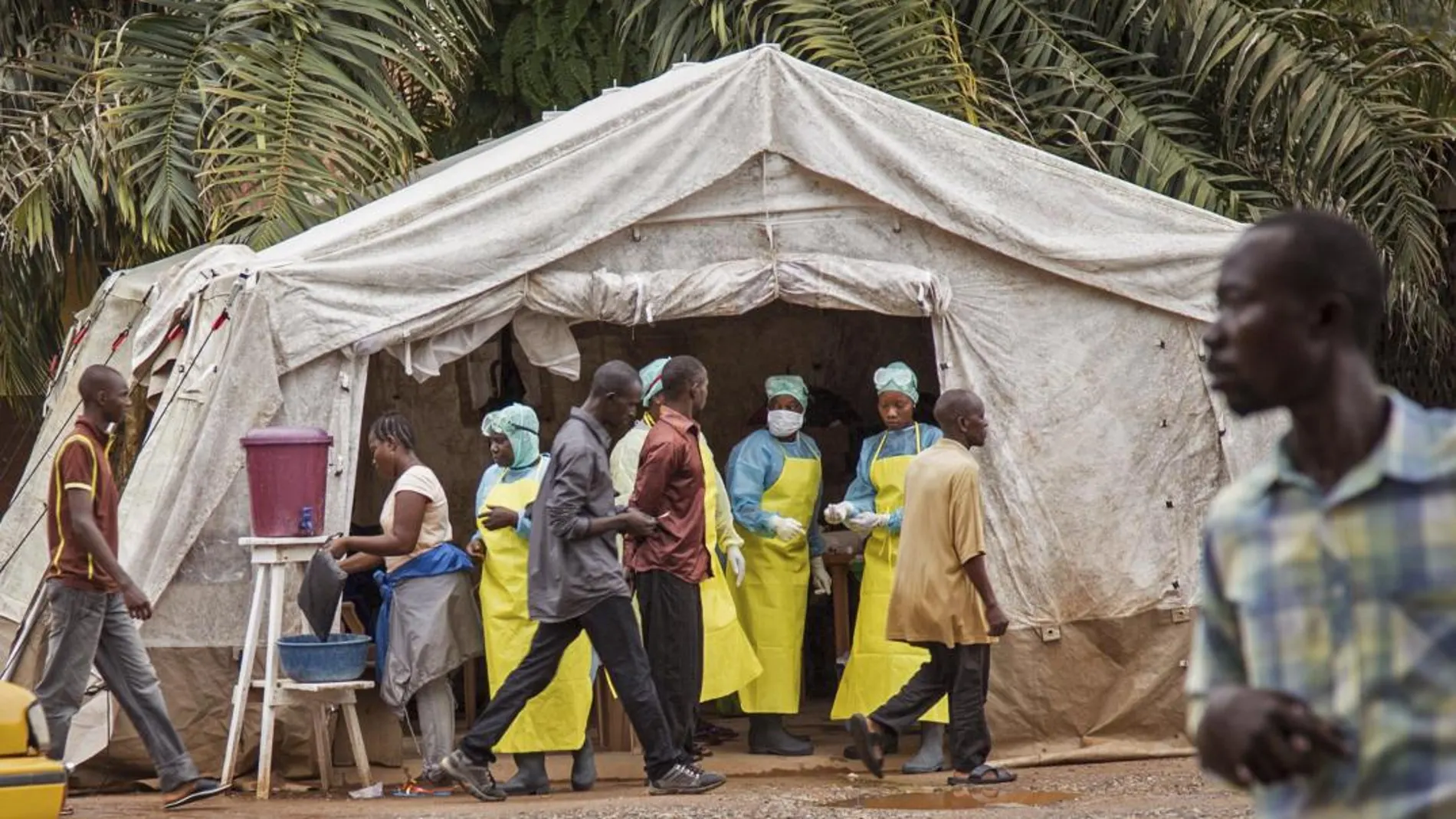 El brote de ébola de 2014 dejó 11.000 muertos / Foto: Ap