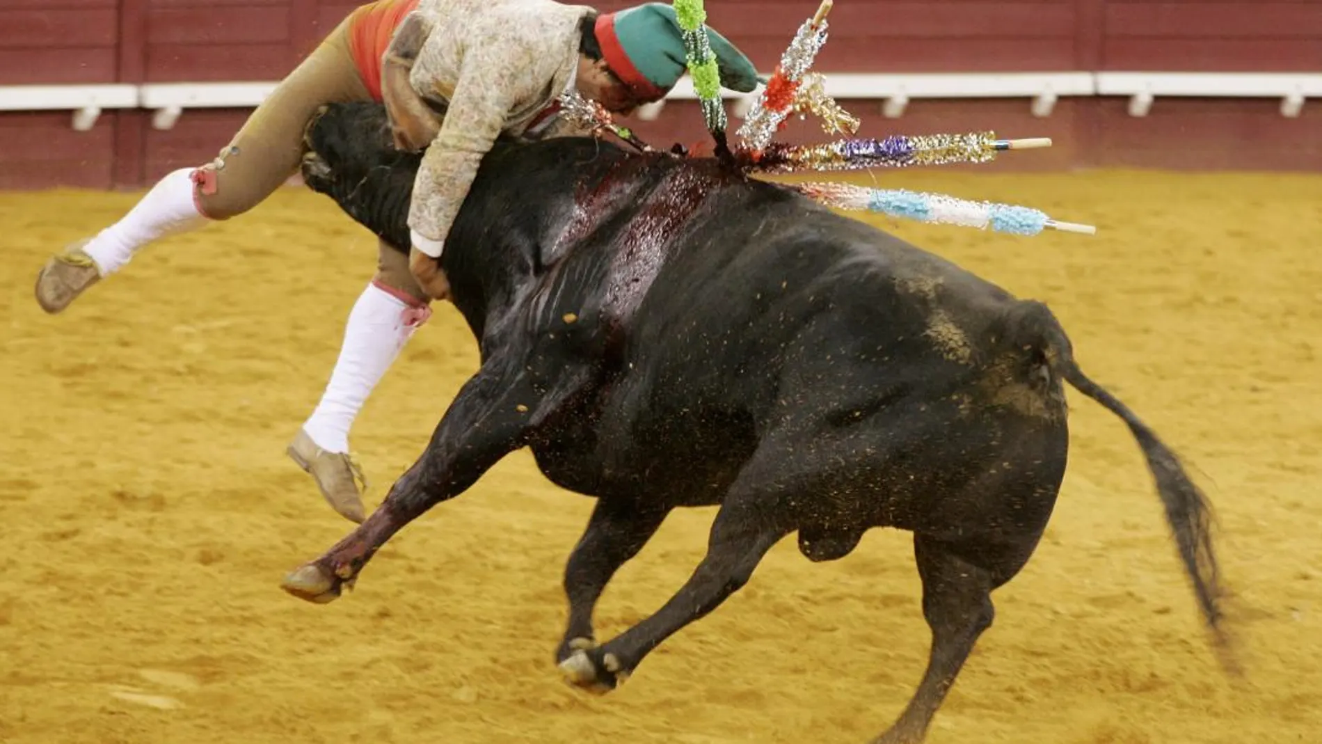 Actuación de un forcado durante la celebración de una corrida de toros