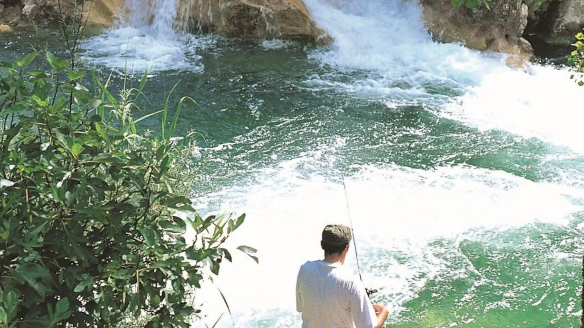 El agua es el gran protagonista de este parque. En algunas zonas está permitida la pesca