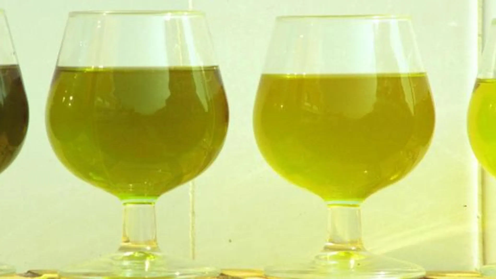 Existen más de 260 variedades de aceitunas