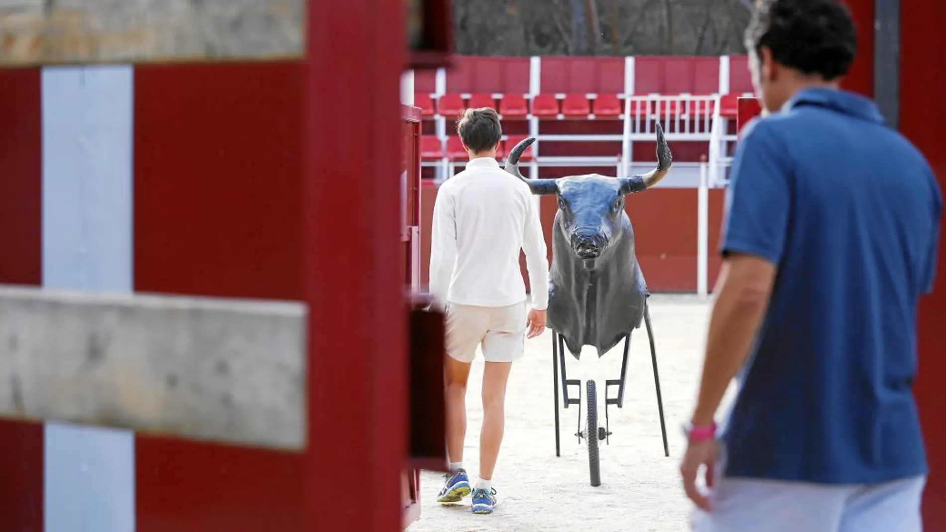 La llegada de Ahora Madrid a la Alcaldía supuso el final de la subvención que recibía la escuela y la salida de los animales de sus instalaciones