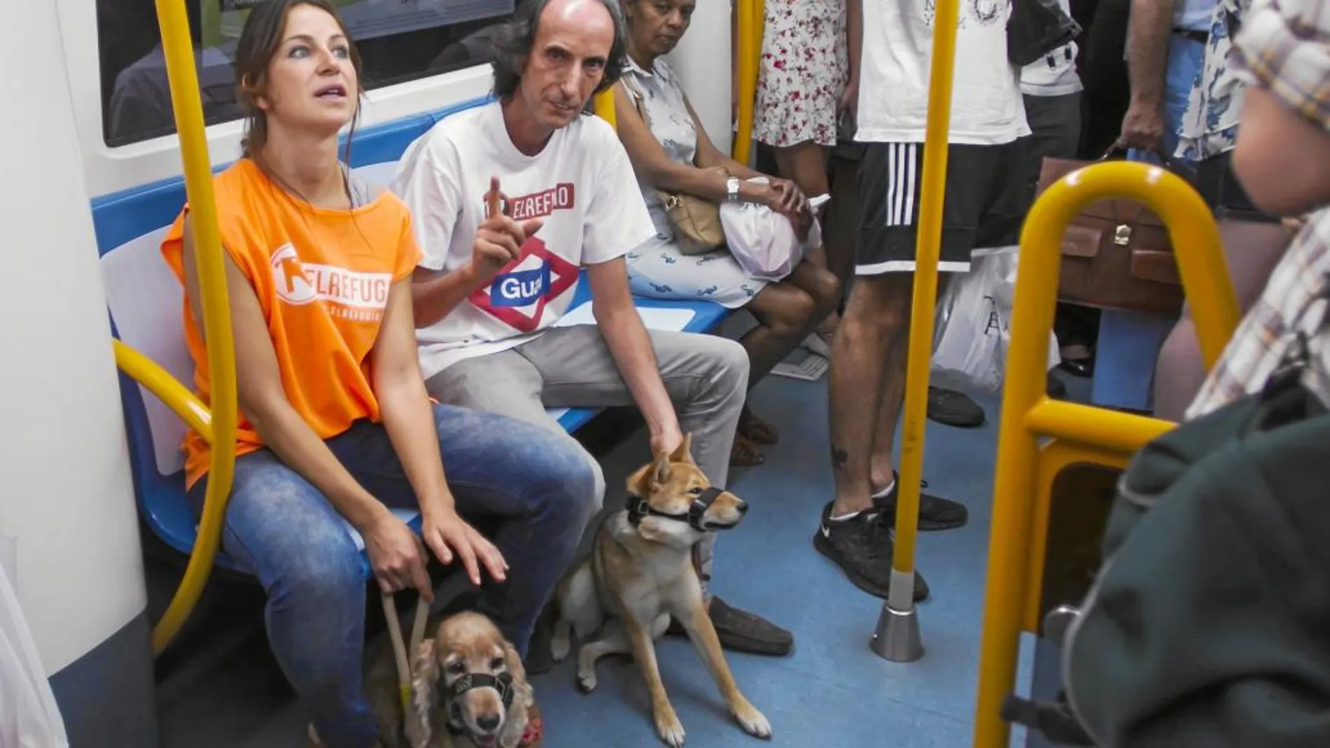La imagen de un perro en el metro empieza a ser habitual en los vagones