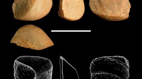 Piedras afiladas por los monos capuchinos utilizados en el experimento