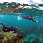Submarinistas entre corales en Australia