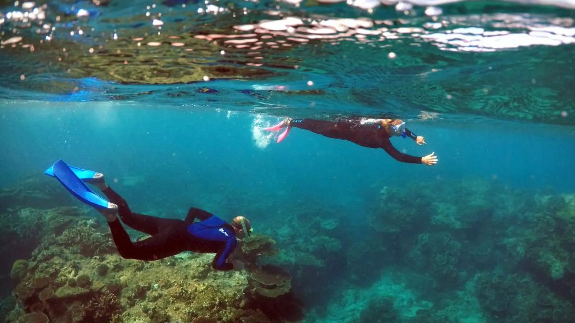 Submarinistas entre corales en Australia