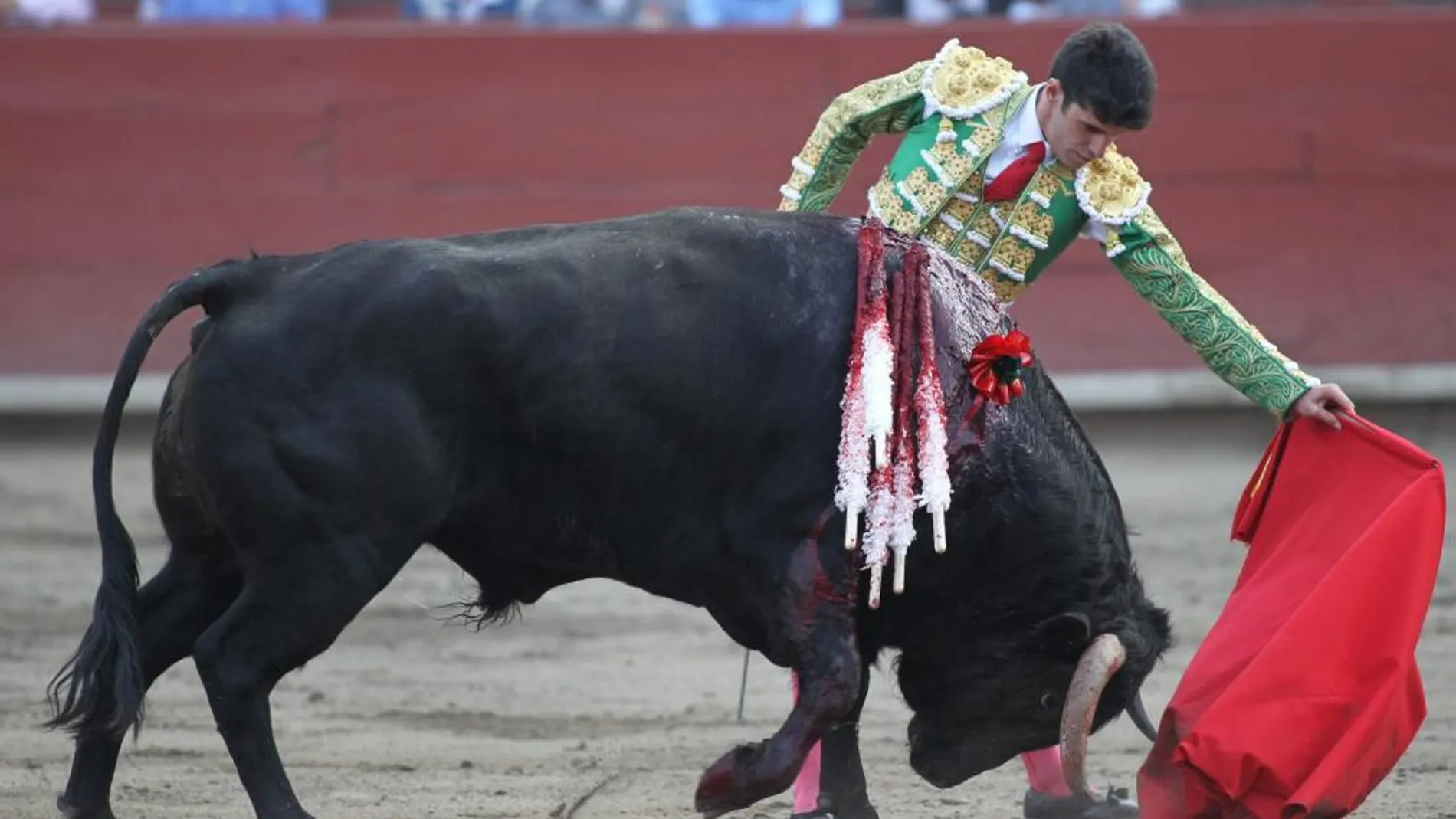 El toreo español Alejandro Talavante lidia un toro en la feria taurina del Señor de los Milagros en la Plaza de Acho de Lima