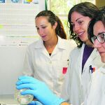 El equipo de Juan José Rubio, en los laboratorios del Instituto de Investigación de la Viña y el Vino de la Universidad de León.