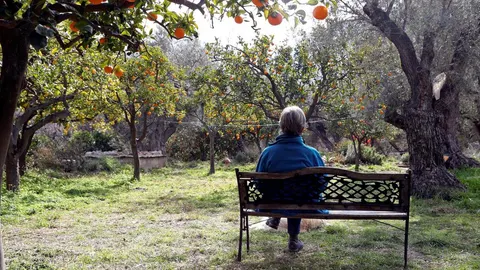 El estudio analiza los efectos positivos de vivir en entornos verdes / Efe