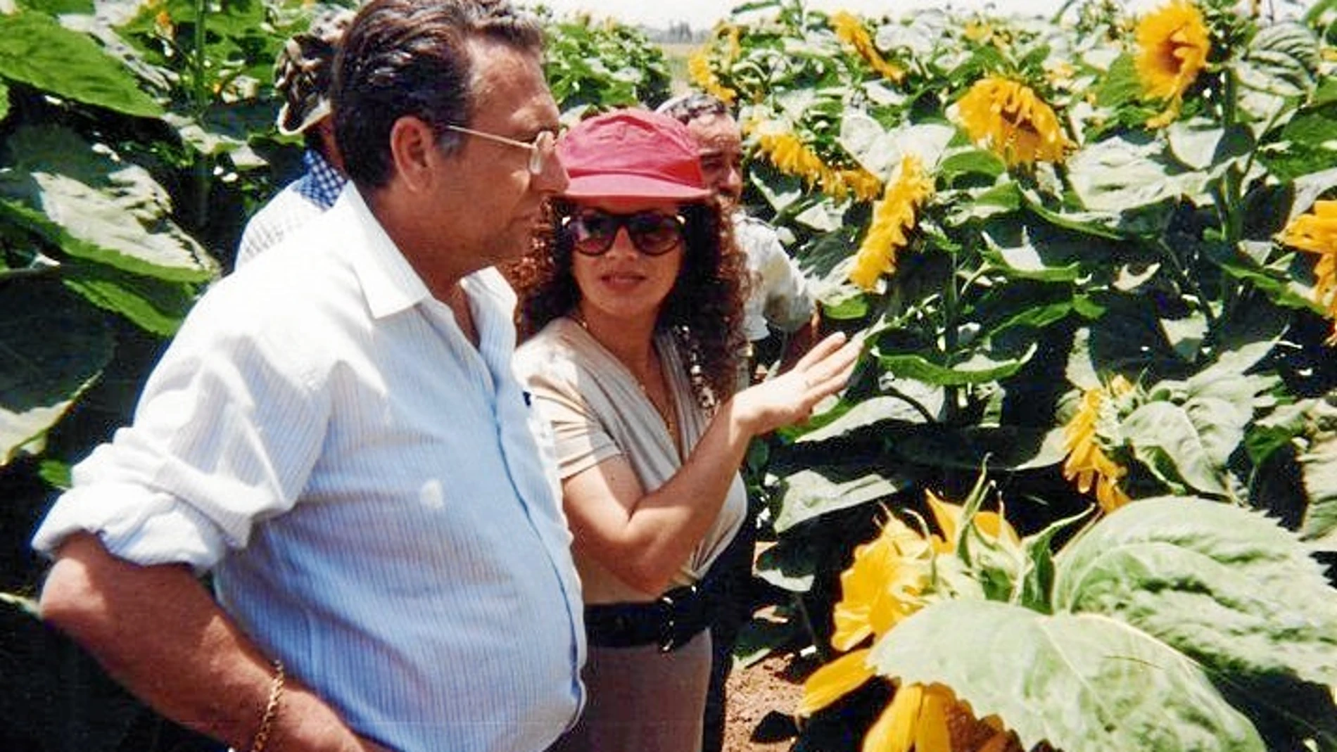 El fundador de la empresa, Salvador Vilar, en una plantación de girasoles.