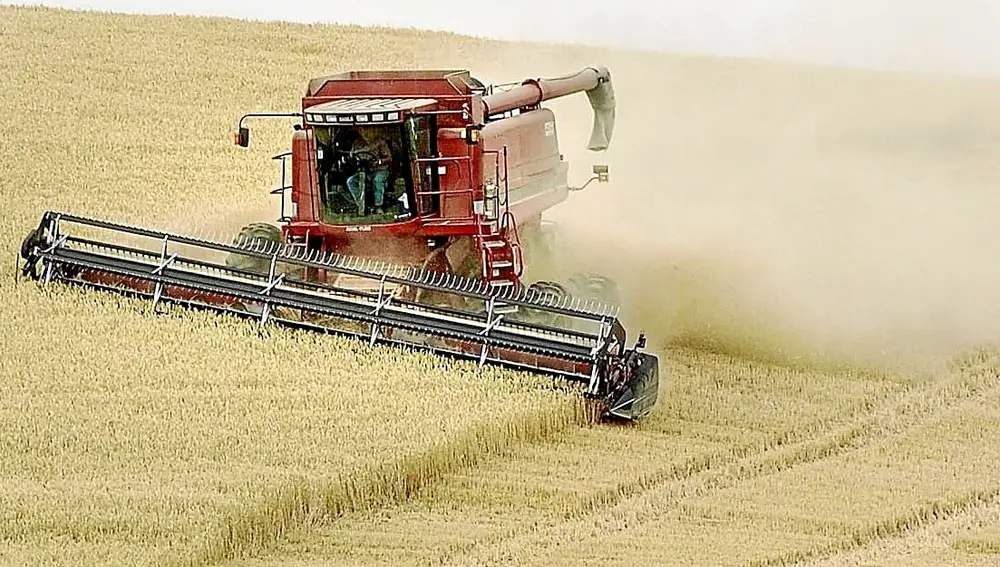 En la agricultura fue en el único sector en el que no subió el paro