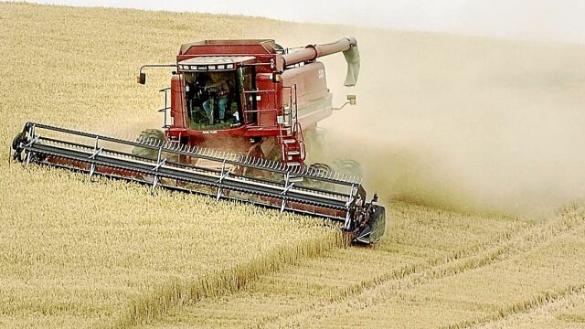 En la agricultura fue en el único sector en el que no subió el paro
