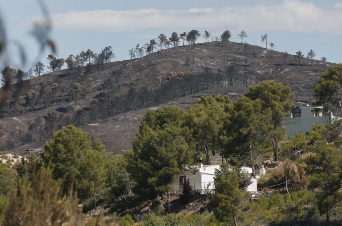 El primer gran incendio del verano ha arrasado más de 1.300 hectáreas