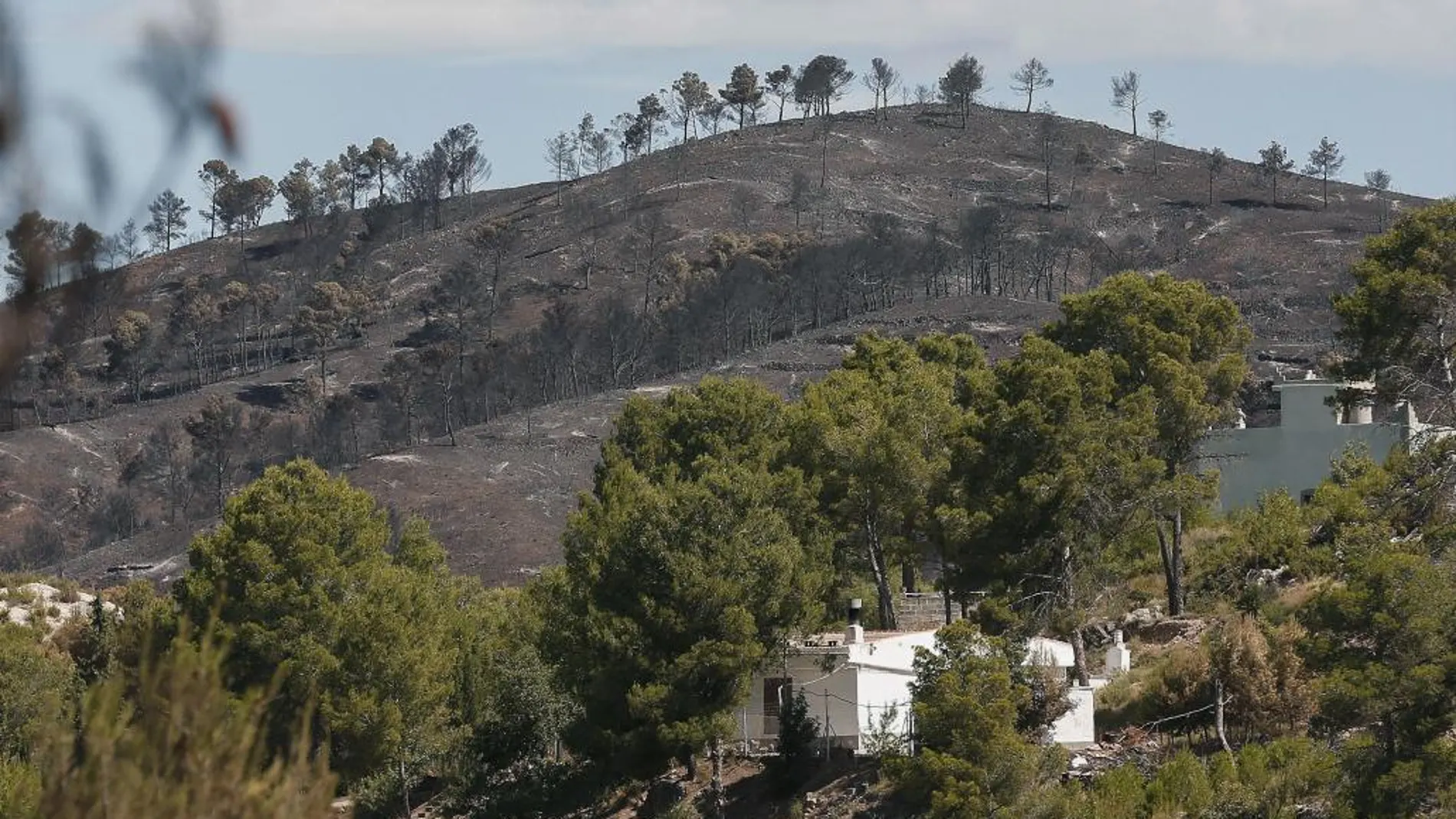 El primer gran incendio del verano ha arrasado más de 1.300 hectáreas