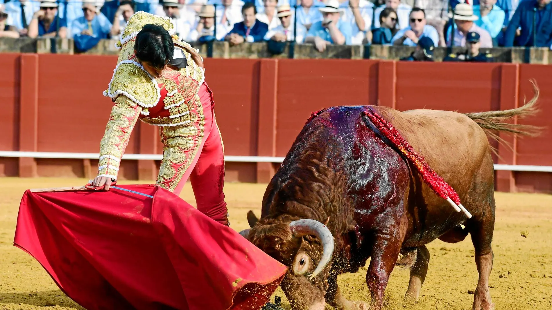 Miguel Ángel Perera da un derechazo al toro de vuelta al ruedo, ayer, en la Real Maestranza de Sevilla. Foto: Ké Imagen