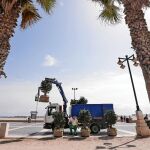 Operarios del Ayuntamiento de Valencia instalan maceteros en el paseo marítimo
