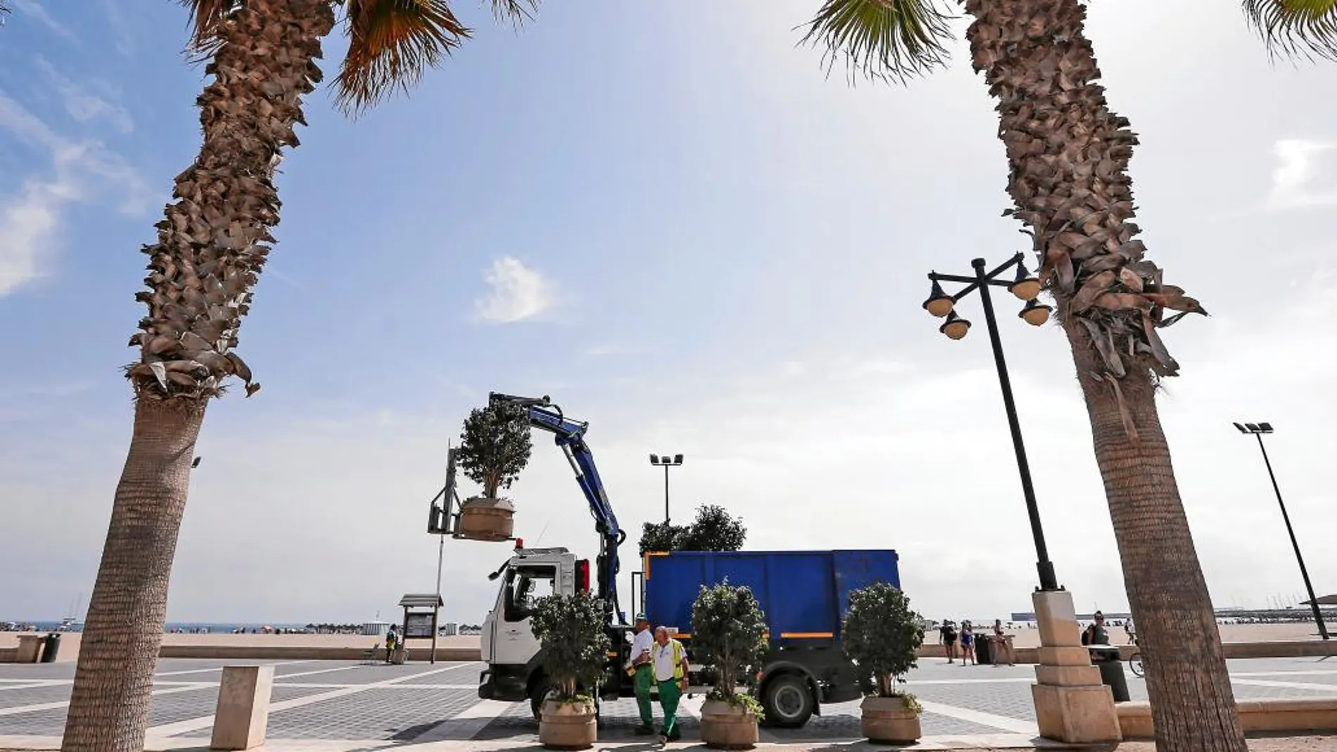 Operarios del Ayuntamiento de Valencia instalan maceteros en el paseo marítimo