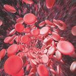 Los expertos exigen el acceso a los nuevos anticoagulantes
