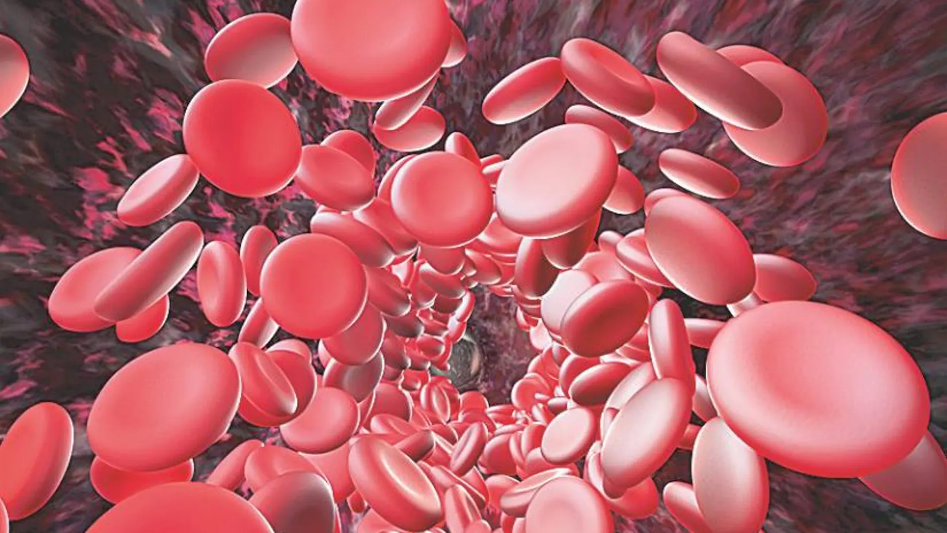 Los expertos exigen el acceso a los nuevos anticoagulantes