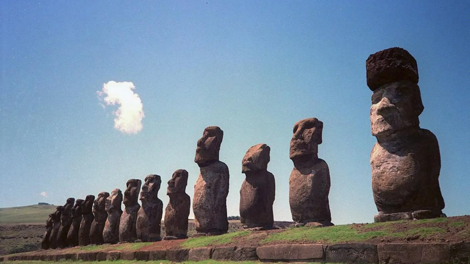 Algunas de las famosas estatuas de piedra de Isla de Pascua