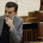 El portavoz de IULV-CA, Antonio Maíllo