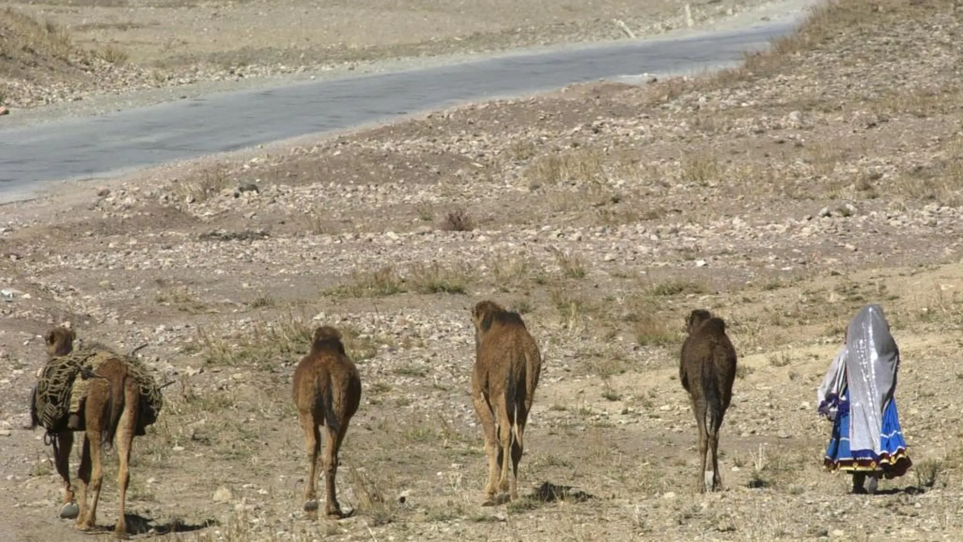 La provincia de Logar se encuentra en el este de Afganist'an y es fronteriza con el vecino Pakistán