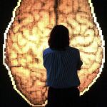 Sí, el cerebro es el órgano que da identidad a nuestra especie