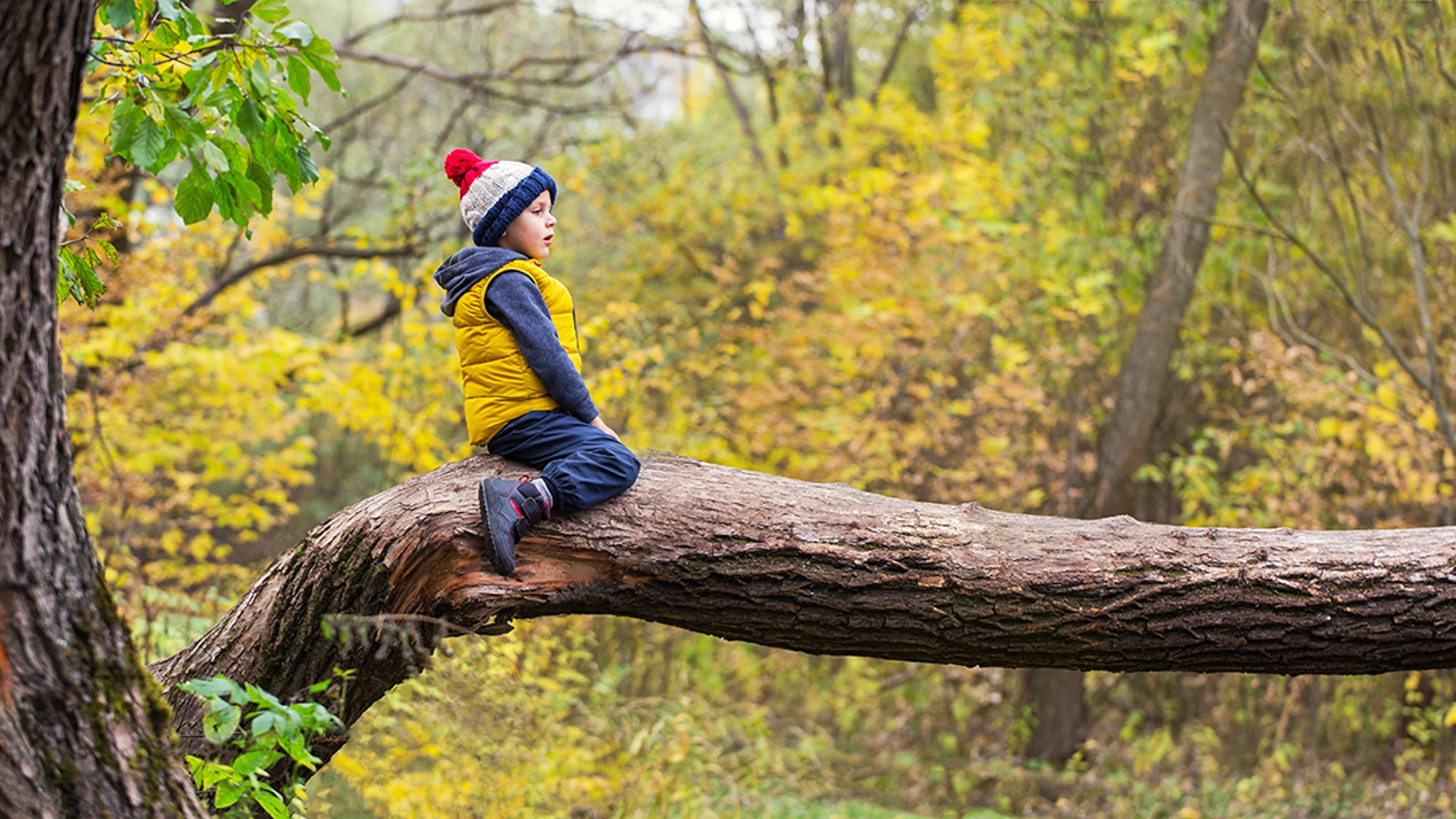 Un entorno natural en la infancia puede mejorar la salud mental de los adultos
