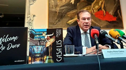Pedro Pérez Castro, director de La Casa Lis