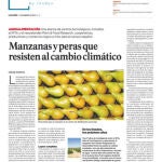 Innovadores Nº 46