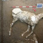 Fotografía facilitada por el Parco Archeologico di Pompei del caballo sepultado/Foto: Efe