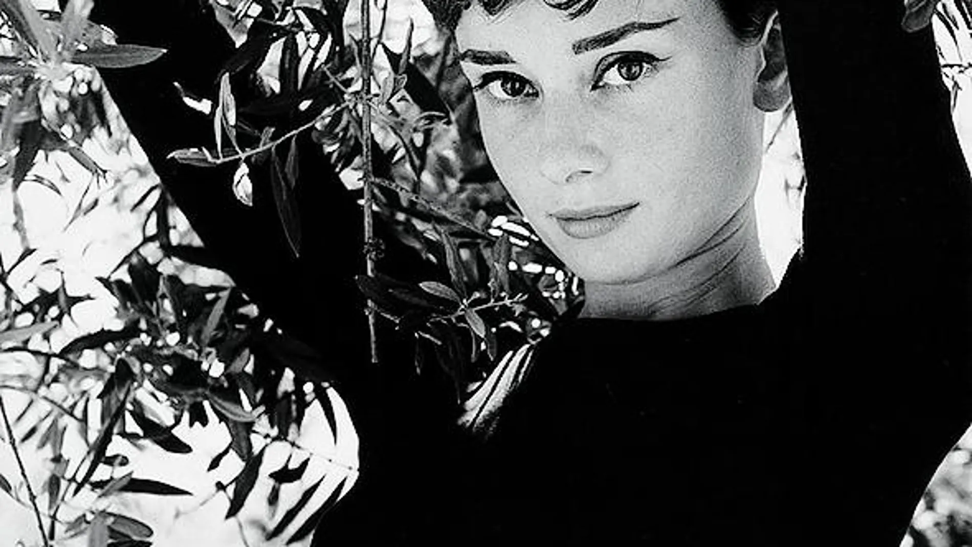 Todos pasaron ante su cámara. Philippe Halmsan convirtió en modelos de sus fotografías a nombres de la talla de Audrey Hepburn