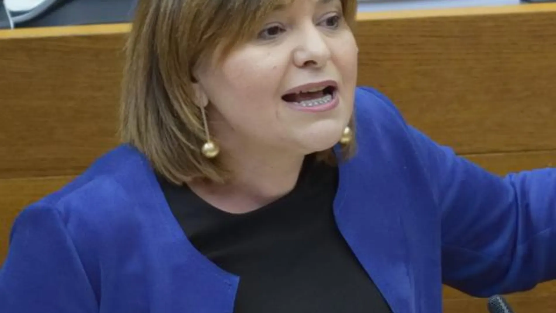 La portavoz del PP, Isabel Bonig